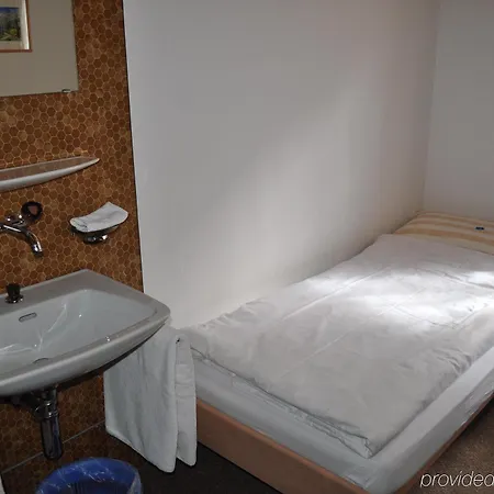 Alpengasthof מלון S-Charl